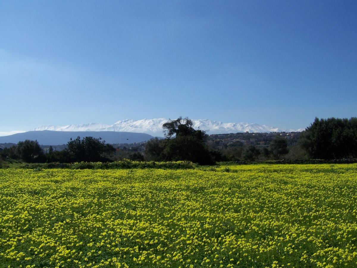 Manolo S Olive Farm, Apartment With Seaview Chrissi Akti Chania Exterior foto