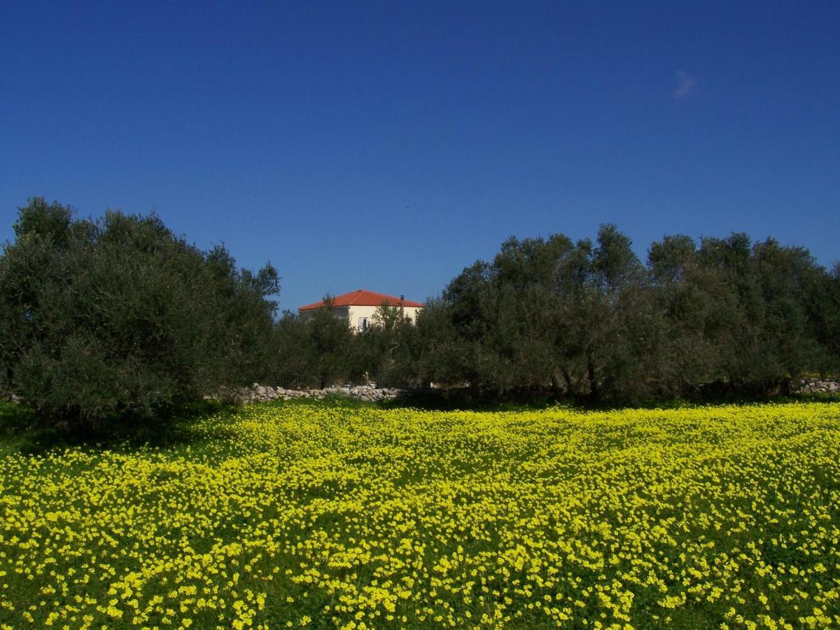 Manolo S Olive Farm, Apartment With Seaview Chrissi Akti Chania Exterior foto