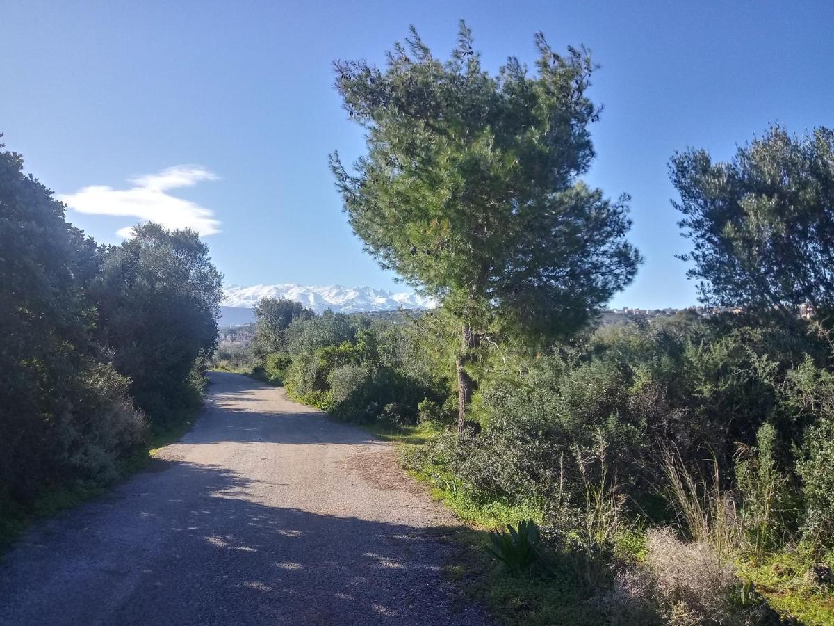Manolo S Olive Farm, Apartment With Seaview Chrissi Akti Chania Exterior foto