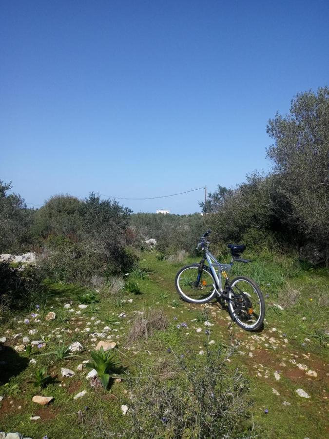 Manolo S Olive Farm, Apartment With Seaview Chrissi Akti Chania Exterior foto