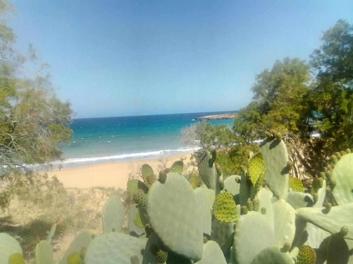 Manolo S Olive Farm, Apartment With Seaview Chrissi Akti Chania Exterior foto